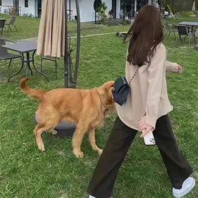 为爱而生